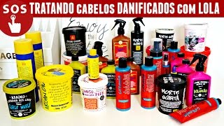 Kit SOS Low Poo Como Tratar Cabelos Danificados com Lola Cosmetics  Karina Viega [upl. by Yhtamit608]