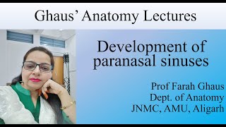 Development of paranasal sinuses [upl. by Noyes]