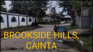 Brookside Hills Subdivision Cainta Walk Tour [upl. by Dnomrej]