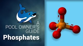 A Pool Owners Guide to Phosphates [upl. by Yennor]