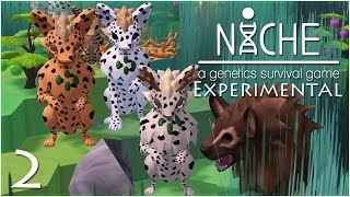 The Experiment Continues • Niche Experimental  Episode 2 [upl. by Neladgam]