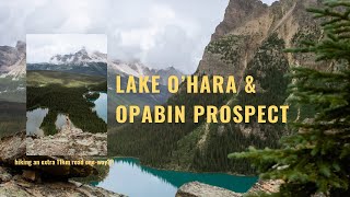 Hiking to Lake OHara and Opabin Prospect without bus passes  52 HIKES CHALLENGE hike 3652 [upl. by Nosilla]