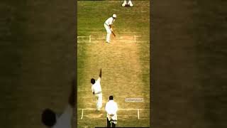 Rare Kapil Dev bowling action in the 1970s kapildev india fastbowler [upl. by Aninat]