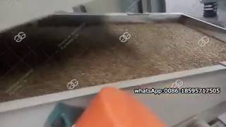 How Does a Sunflower Seed Dehuller Work [upl. by Nileve]