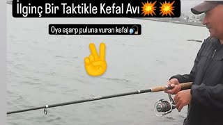 💥💥SAMSUN LİMAN İÇİ İLĞİNÇ BİR TAKTİKLE KEFAL AVI💥💥🎣ve sezonun ilk istavritleri ye beraber✌️ [upl. by Kletter35]