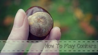 How To Play Conkers [upl. by Waters]