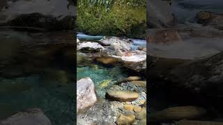 browntrout in paradise fishing flyfishinglife flyfishing trout paradise sightseeing [upl. by Hardie]