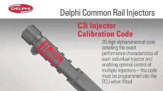 Reliable Common Rail Injectors by Delphi Product amp Service Solutions [upl. by Antipas]