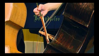 BottesiniBreinschmid Concerto Nr 2 in BMinor Dominik Wagner Georg Breinschmid mvt 2 [upl. by Imre]