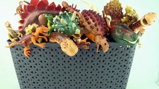 Box of Dinosaurs Playmobil Collection  Tyrannosaurus Triceratops in the dinosaur toy box [upl. by Eiramesor92]