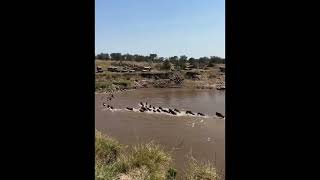 African Safari Migration Season  The Great Migration in Africa Where When amp Why You Should See It [upl. by Rotkiv907]