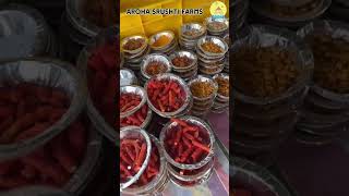 Best Hurda Party near Pune Aroha Srushti Farms hurda hurdaparty agritourism onedaytrip food [upl. by Anneiv]