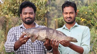 Hamour Fish Curry  Fish Curry Recipe  Ranganayakamma Kitchen [upl. by Colwin875]