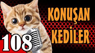 Konuşan Kediler 108  En Komik Kedi Videoları  PATİ TV [upl. by Tijnar]