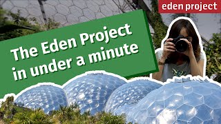 Exploring the Wonders of the Eden Project A Nature Lovers Guide to Cornwall [upl. by Hedve]