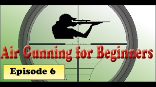 Airgunning for Beginners  Ultimate Guide to Hold Over  Under Windage and Cant [upl. by Orola95]