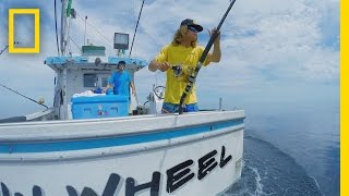 Catch of the Week  Persistence Pays Off  Wicked Tuna [upl. by Acinom769]