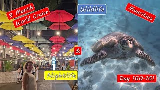 Mauritius island tour – Overnight Stop Nightlife and Turtle Snorkel [upl. by Nilatak]