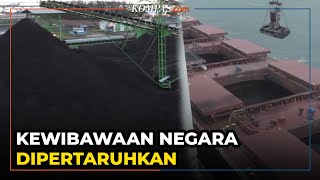 Pemerintah Cabut Larangan Ekspor Batu Bara Kewibawaan Negara Dipertaruhkan [upl. by Kela970]