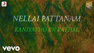 Nellai Pattanam  Kaniyatho En Kathal Tamil Lyric  Shyam Shankar [upl. by Jean-Claude]