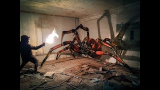 ODEITH  ANAMORPHIC  time lapse  huge Spider  Hollywood Style [upl. by Rednal]