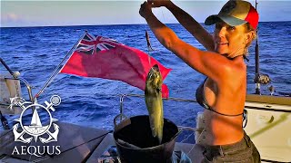 Philippa catches dinner we arrive in the Exumas and surprise some friends  Episode 16 [upl. by Griswold]