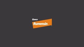 Committed to Quality Why Rumensin® Is Trusted by Generations of Producers  Elanco Animal Health [upl. by Lenoel]