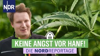 Hanf  Alte Nutzpflanze neu entdeckt  Die Nordreportage  NDR [upl. by Ahseyi]