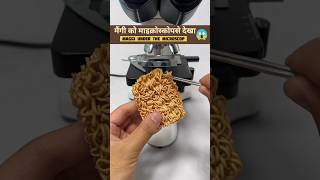 मैंगी को माइक्रोस्कोप से देखा 😱shorts shortfeed microscope [upl. by Zoarah80]