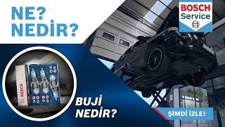 Buji Nedir Buji Ne İşe Yarar [upl. by Bone320]