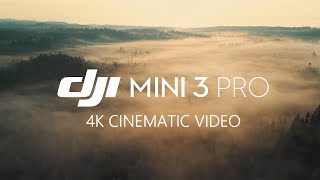 Skyview 3  DJI MINI 3 PRO Cinematic 4K Swedish nature photography [upl. by Orabel]