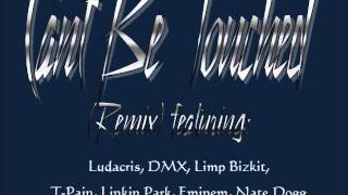 Cant Be Touched Remix ft Ludacris DMX Limp Bizkit TPain Linkin Park Eminem Nate Dogg [upl. by Sleinad]