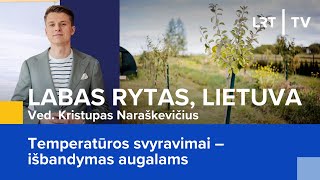 Temperatūros svyravimai – išbandymas augalams  Labas rytas Lietuva  20240405 [upl. by O'Carroll]