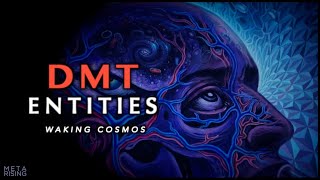 DMT Entities and Higher Dimensional States of Consciousness [upl. by Rush991]