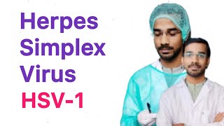 Herpes Simplex Virus  1 HSV1  Clinical Manifestations [upl. by Laira612]