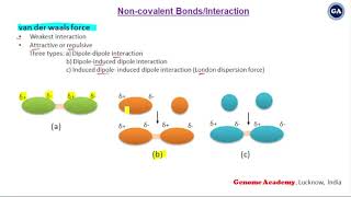 Noncovalent Bonds  Hydrogen Bonds  Ionic Bonds  Electrostatic interaction  van der waals force [upl. by Edyth]