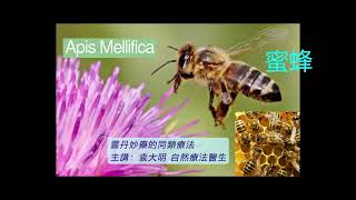 《靈丹妙藥的同類療法》 EP206  蜜蜂 Apis Mellifica [upl. by Carolina246]