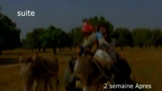 NDEN BA MOUSSO 2  FILM MALINKE [upl. by Anirt277]