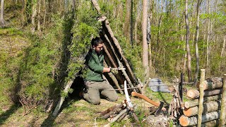 Solo Survival Crafting a Bushcraft Shelter Deep in the Wilderness [upl. by Ahsikad318]