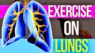 How Exercise Impacts Your Lungs [upl. by Sherye]