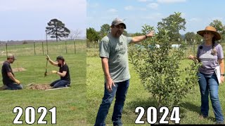 3 Years LATER A FULL Orchard Tour [upl. by Kuehnel]