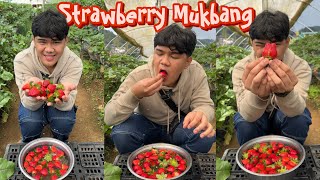 MUKBANG STRAWBERRIES SA LOOB NG STRAWBERRY FARMANG TATAMIS [upl. by Katina]