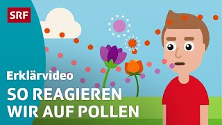 Heuschnupfen  Pollenallergie – einfach erklärt  Kindervideos  SRF Kids [upl. by Asenav]