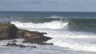 Big Wave Surfing at La Jolla Cove [upl. by Ahern422]