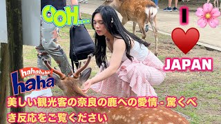 美しい観光客の奈良の鹿と の瞬間  驚くべき反応が捉 えられる 奈良鹿  nara deer  foreign tourists  奈良公園鹿  foreigner  Asmr [upl. by Bathilda582]