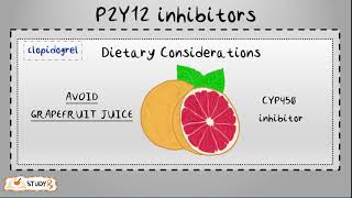 P2Y12 Receptor inhibitors [upl. by Assirt803]