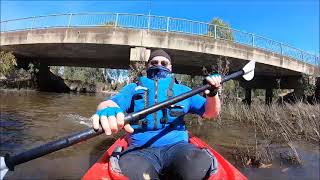 TRIP 619 KAYAKING narrandera wetlands 26 11 22 [upl. by Rivalee]