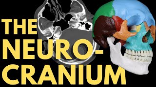 Cranial Bones Sutures and Bony Landmarks  Skull Bone Anatomy  Radiology Anatomy Part 1  CT Brain [upl. by Acie]