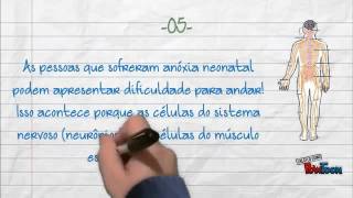 Anóxia Neonatal  Causas e Consequências [upl. by Atenik]