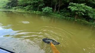 Elmer Davis lake owenton Kentucky 2nd place and big bass [upl. by Tolecnal]